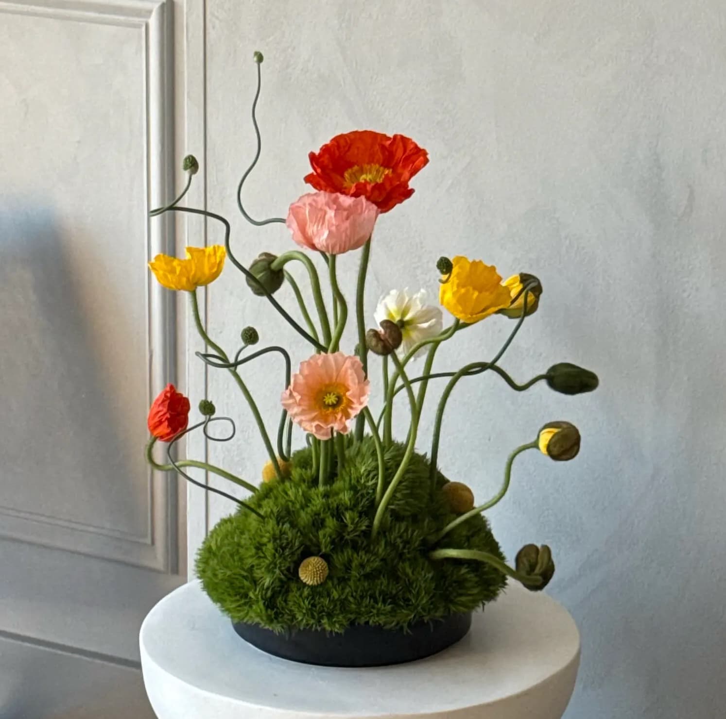 Poppy arrangement on moss by IKEBA